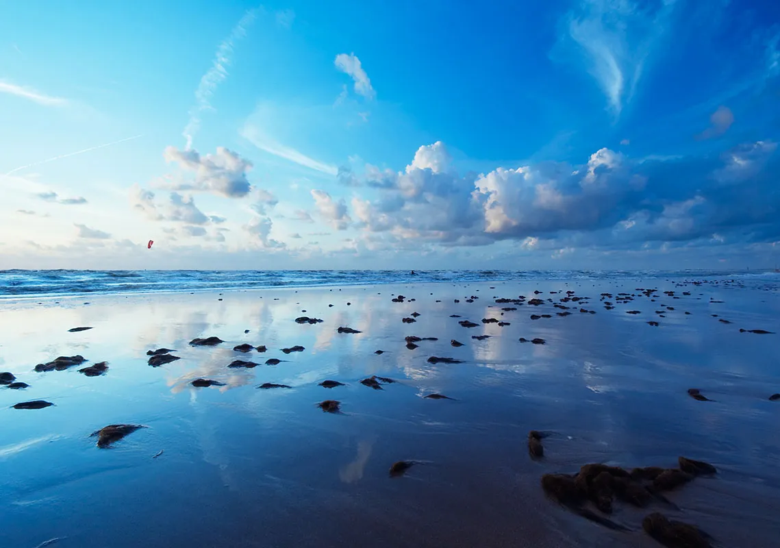 Landscape 113