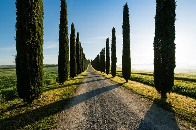 Landscape 084