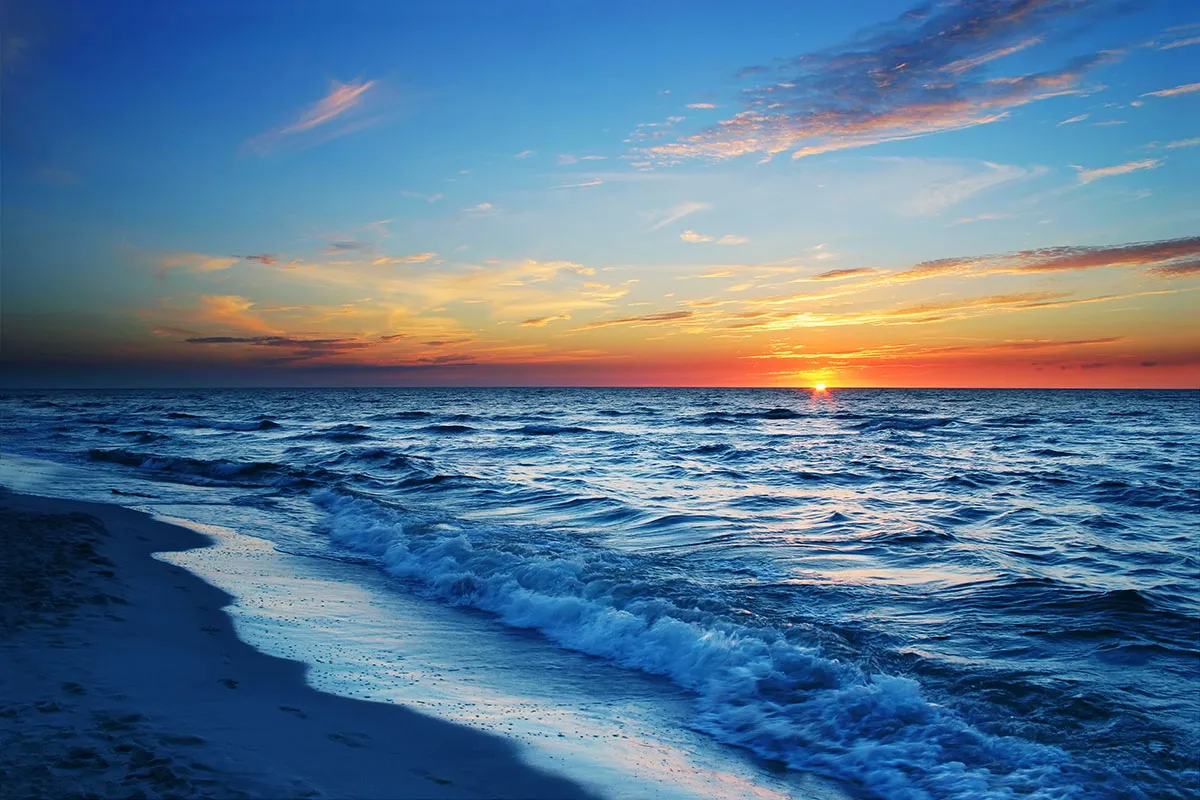 Landscape 109