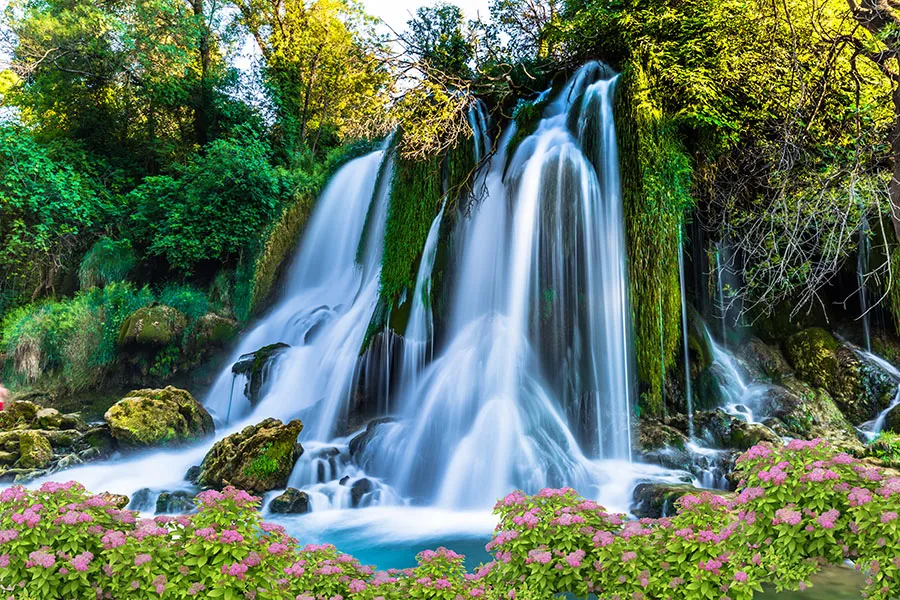 Landscape 155