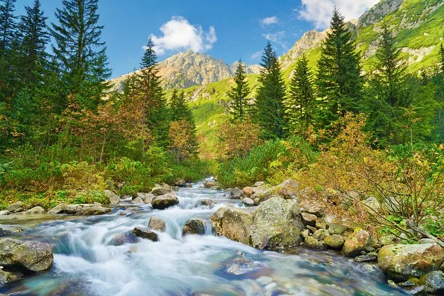 Landscape 095