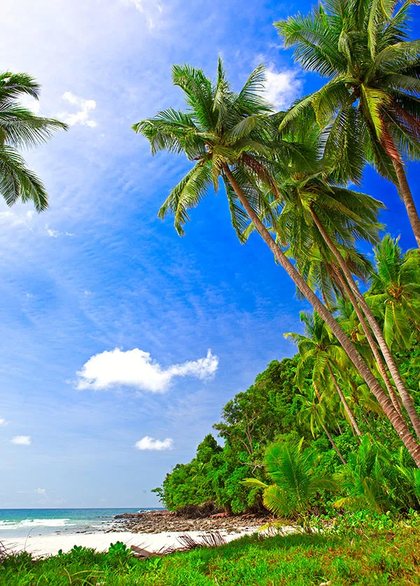 Landscape 126