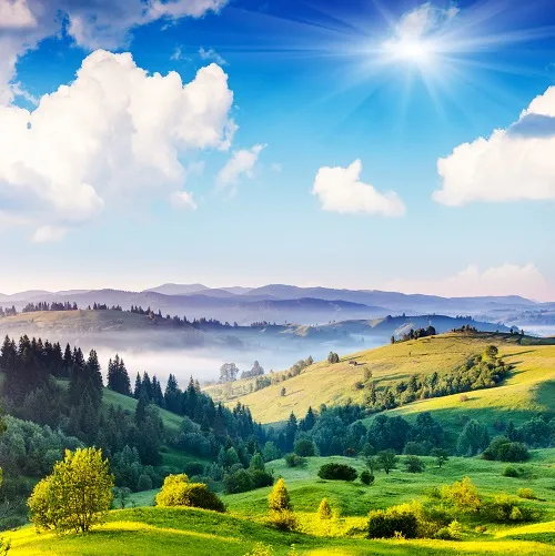 Landscape 041