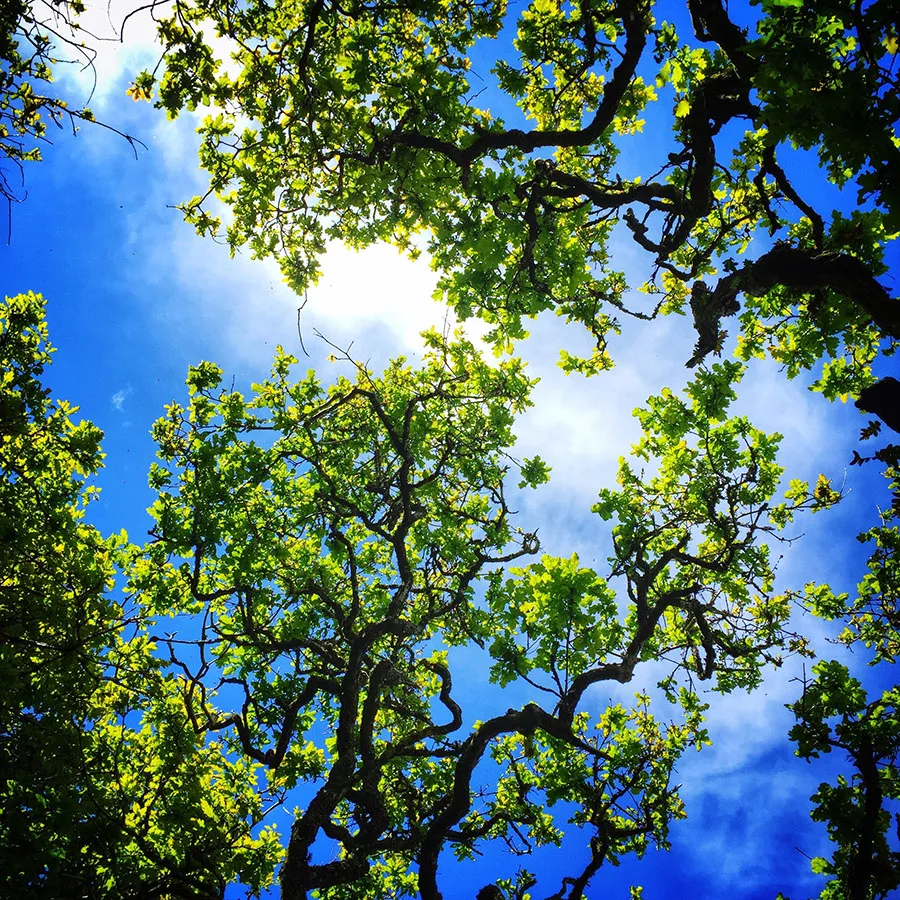 Nature 179