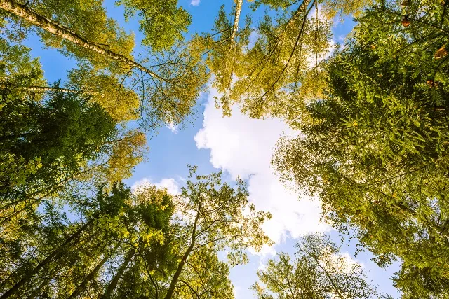 Nature 063