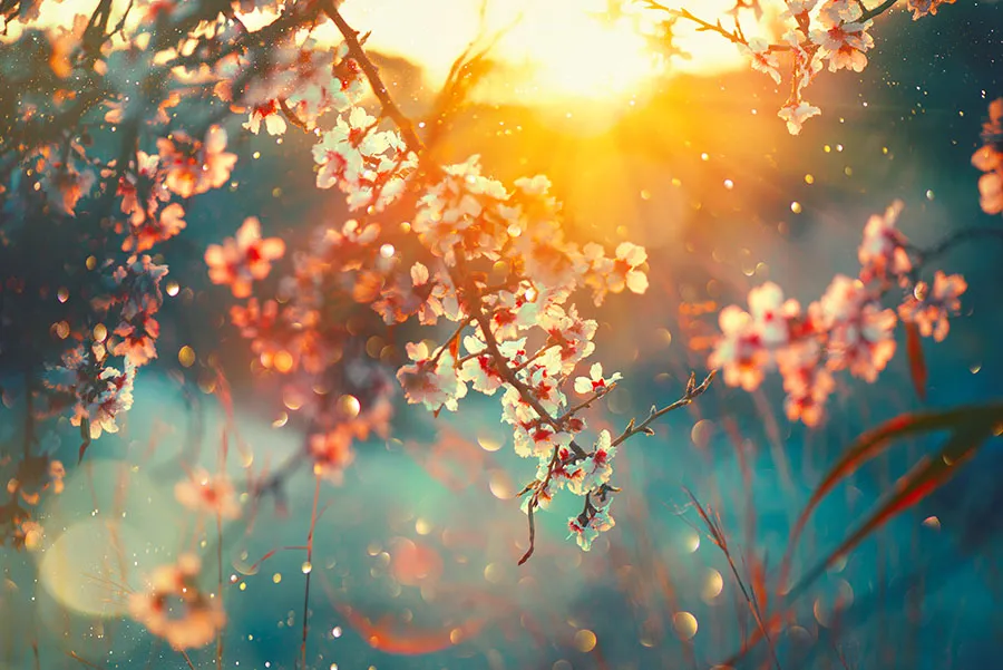Nature 169