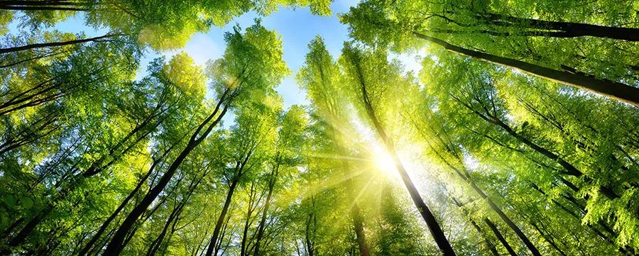 Nature 152