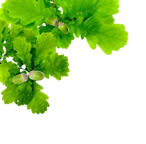 Nature 124