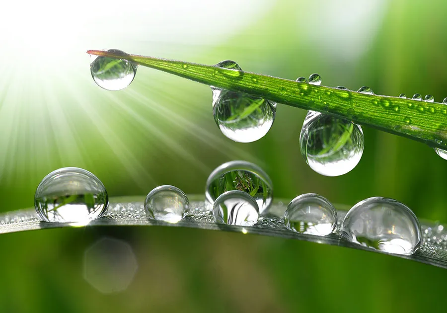 Nature 168
