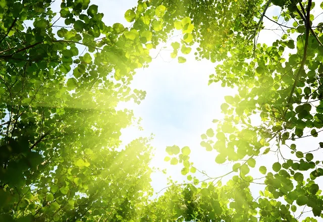 Nature 117