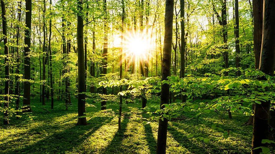 Nature 146