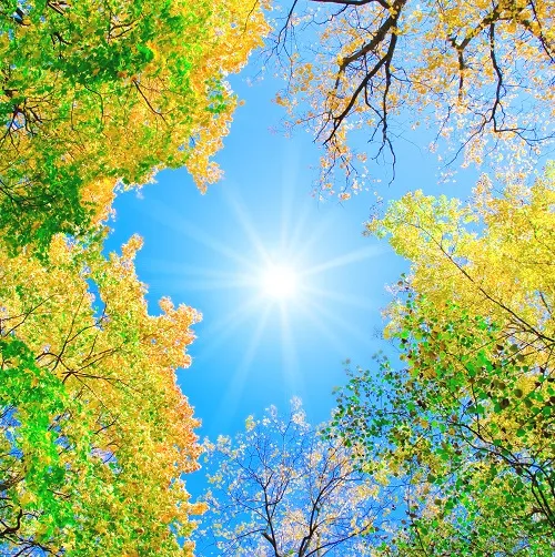 Nature 130