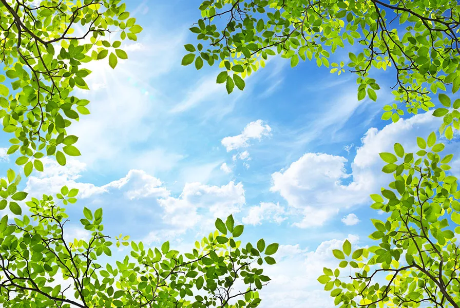 Nature 147