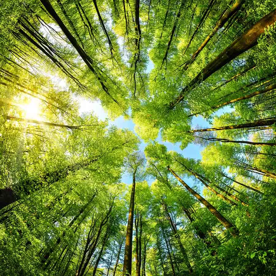 Nature 189