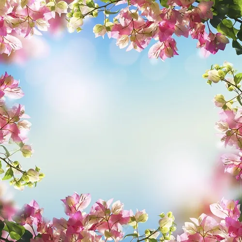 Nature 123