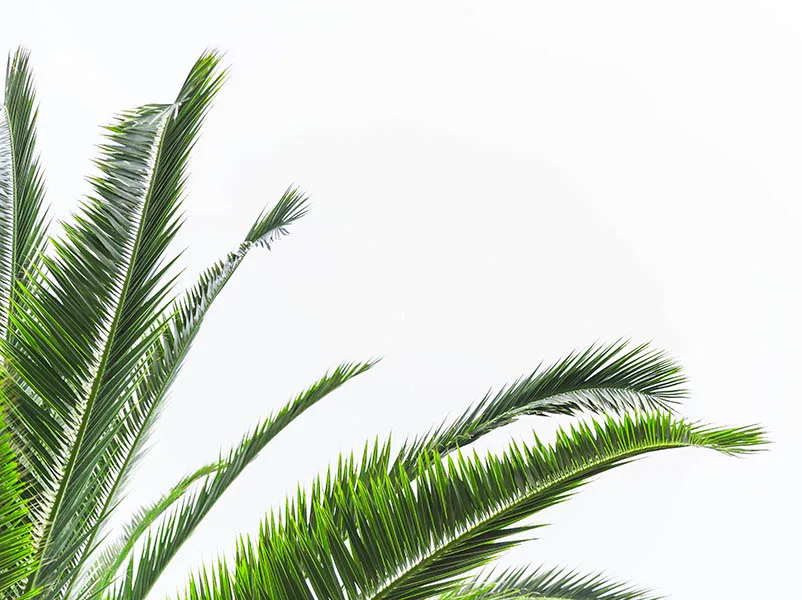 Nature 142