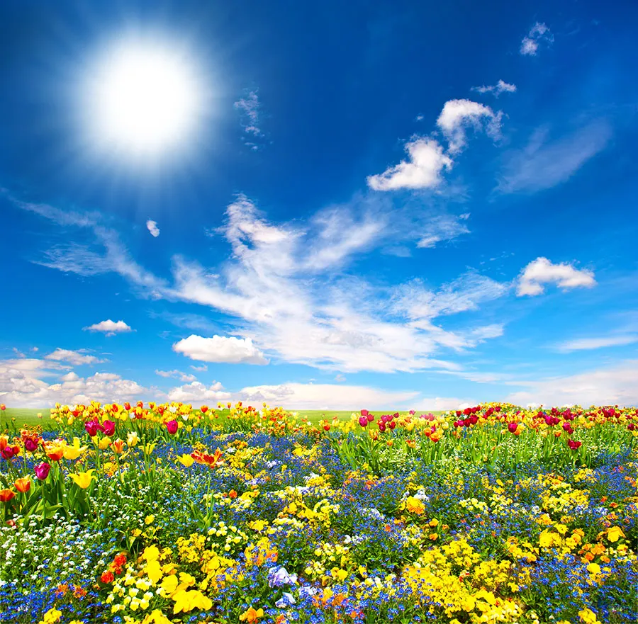Nature 163
