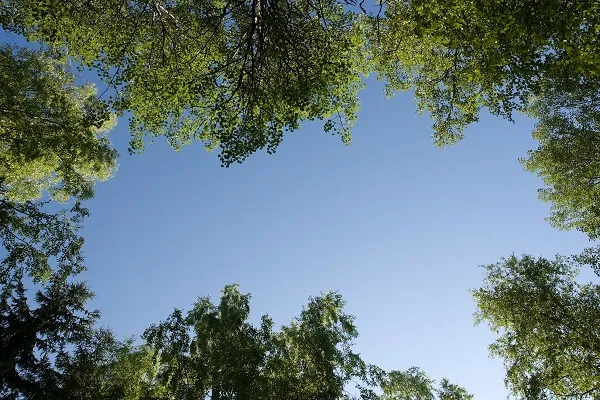Nature 056
