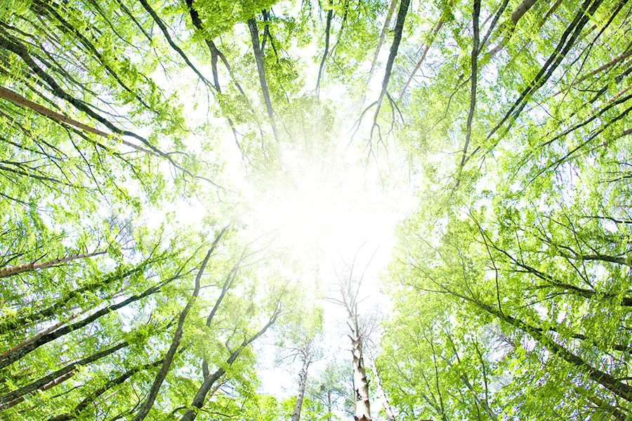 Nature 148