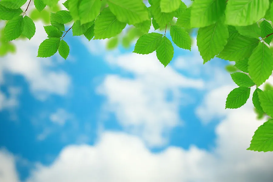 Nature 156
