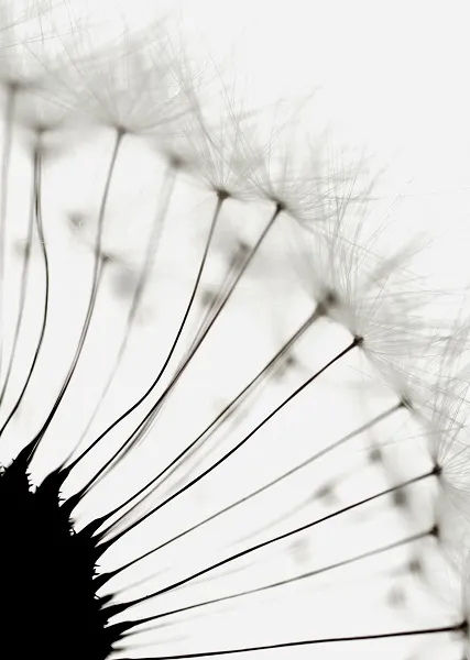 Nature 102