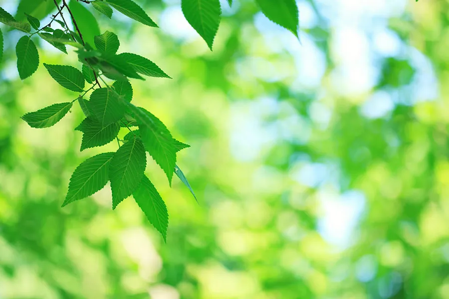 Nature 158