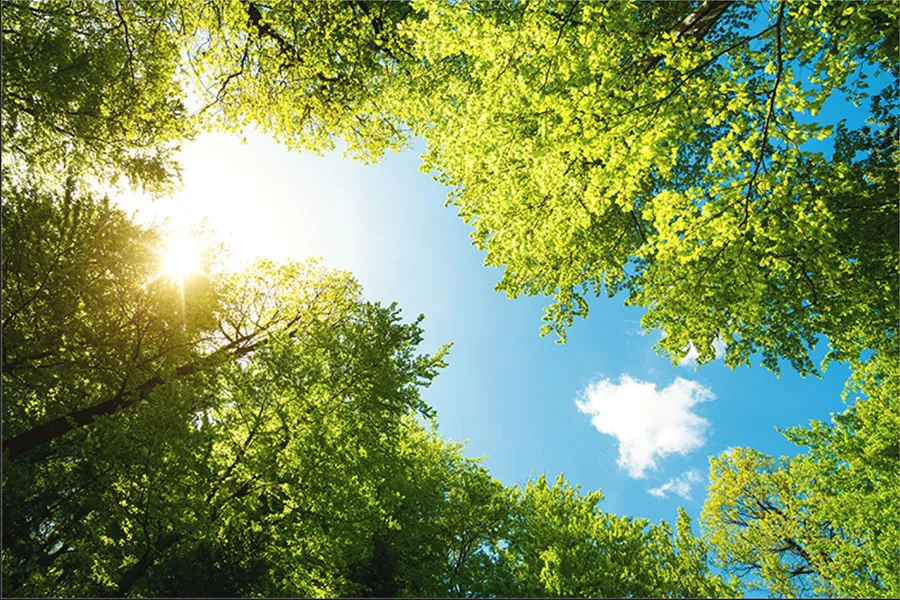 Nature 150