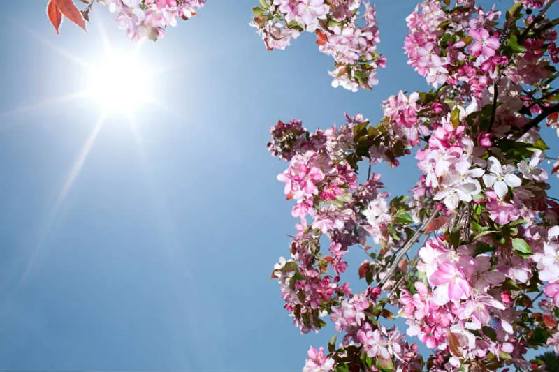 Nature 083