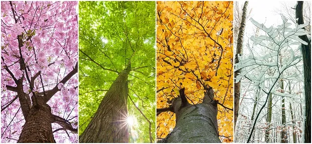 Nature 127