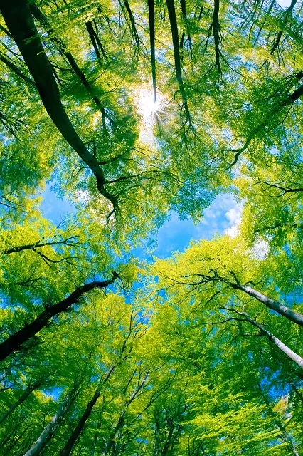 Nature 128