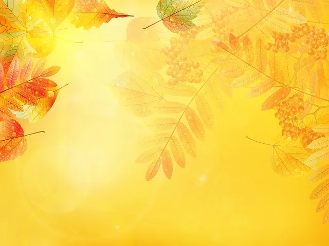 Nature 074