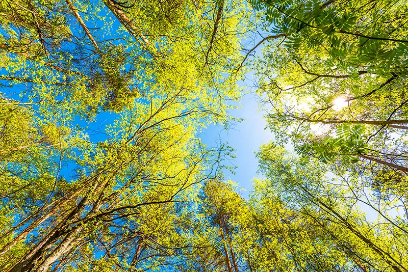 Nature 149