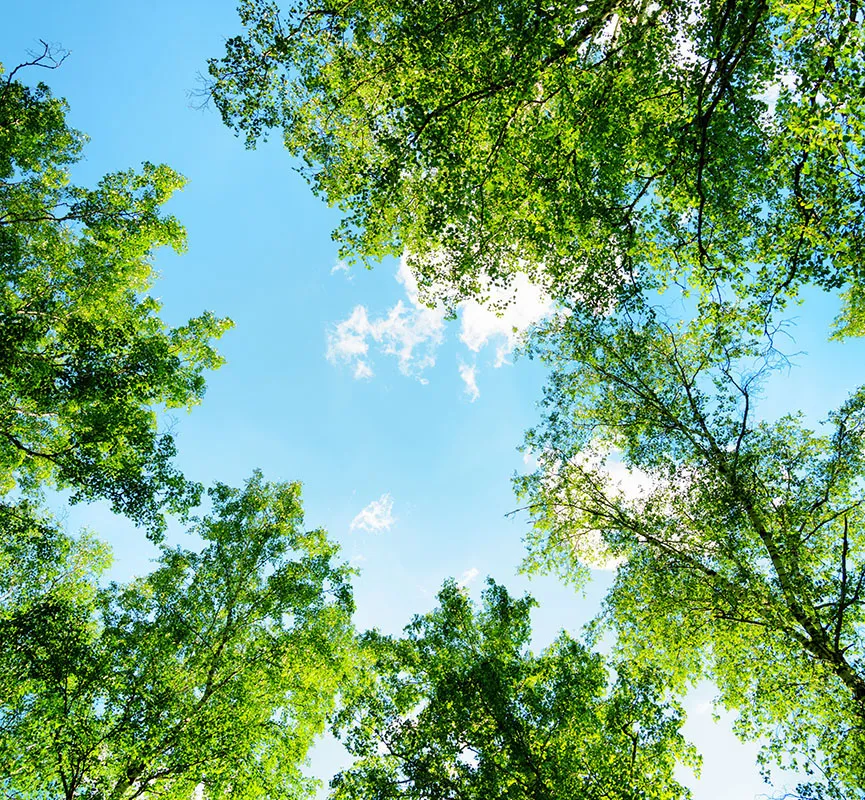 Nature 136