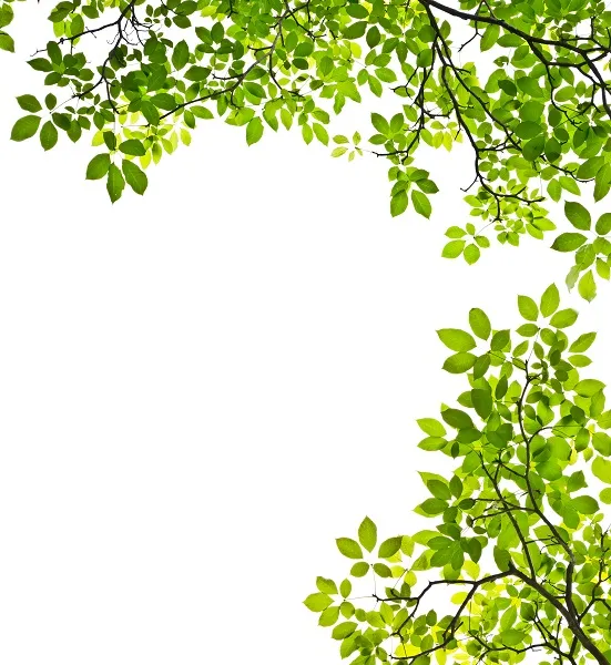 Nature 032
