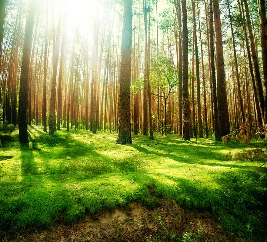Nature 145