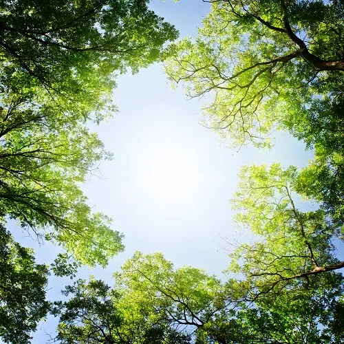 Nature 121