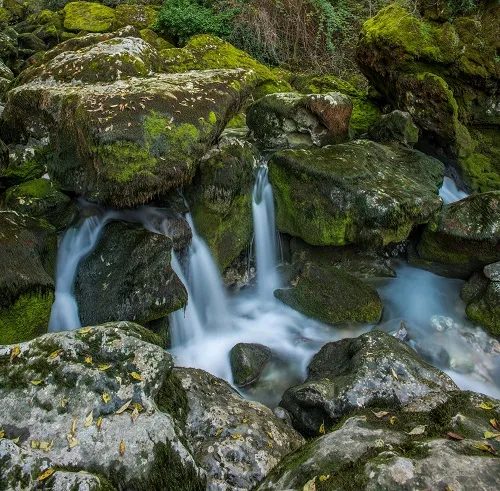 Nature 096