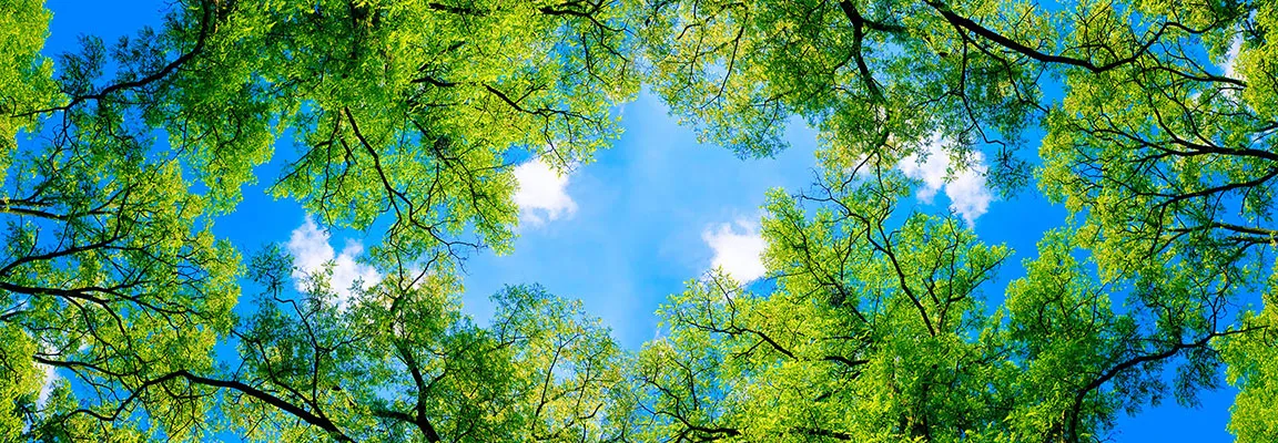 Nature 138