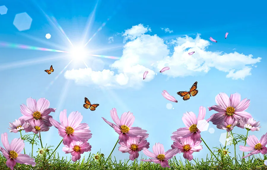 Nature 162