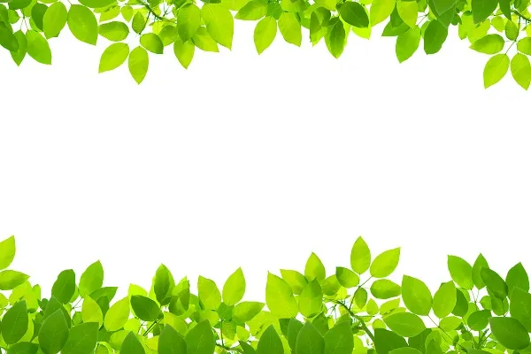 Nature 033