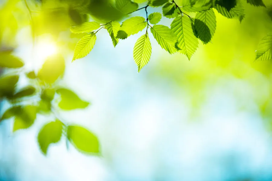 Nature 157