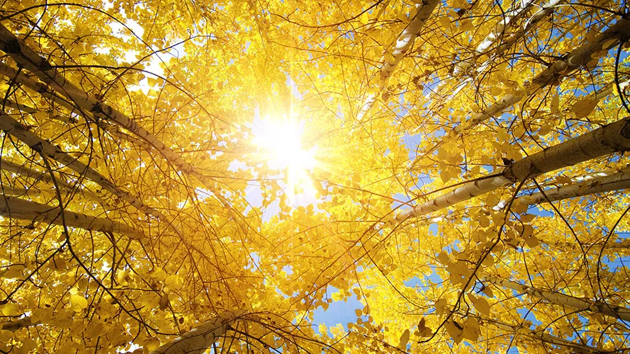 Nature 134