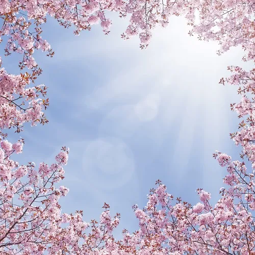 Nature 115