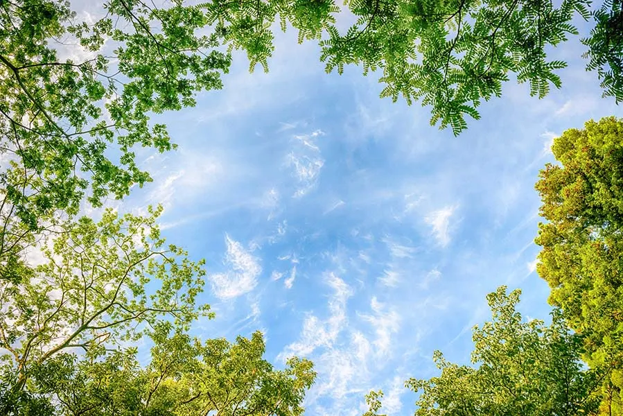 Nature 200
