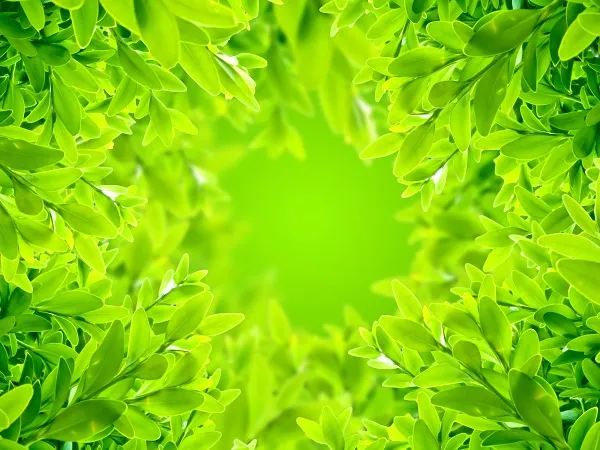 Nature 027