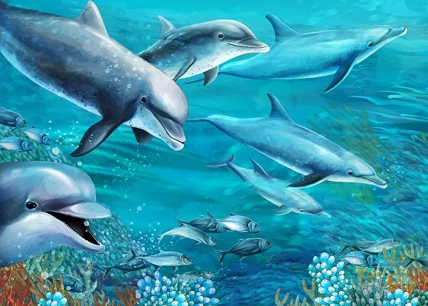 Sea 036