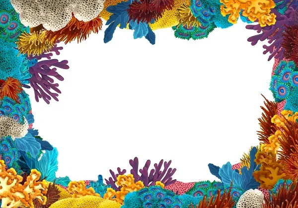Sea 016
