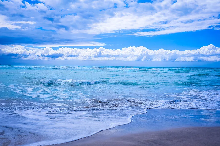 Sea 101