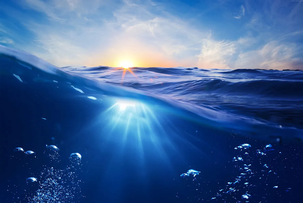 Sea 116