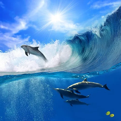 Sea 010